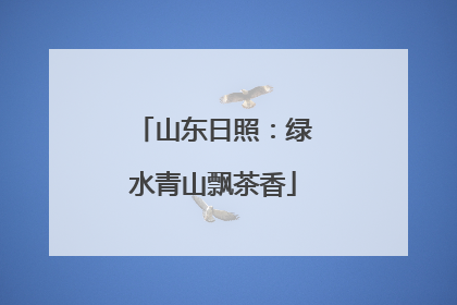 山东日照：绿水青山飘茶香
