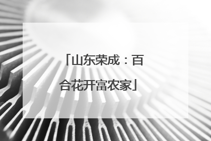 山东荣成：百合花开富农家
