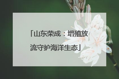 山东荣成：增殖放流守护海洋生态
