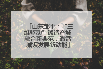 山东邹平：“三维驱动”锻造产城融合新典范，激活城镇发展新动能