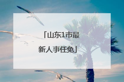 山东1市最新人事任免