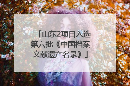 山东2项目入选第六批《中国档案文献遗产名录》