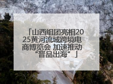 山西组团亮相2025黄河流域跨境电商博览会 加速推动“晋品出海”