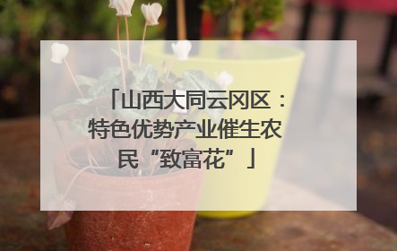 山西大同云冈区：特色优势产业催生农民“致富花”