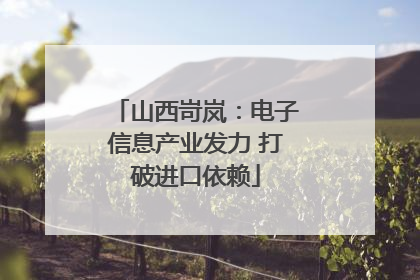 山西岢岚：电子信息产业发力 打破进口依赖