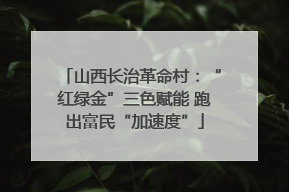 山西长治革命村：“红绿金”三色赋能 跑出富民“加速度”