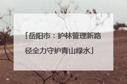 岳阳市：护林管理新路径全力守护青山绿水