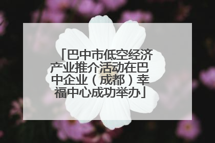 巴中市低空经济产业推介活动在巴中企业（成都）幸福中心成功举办