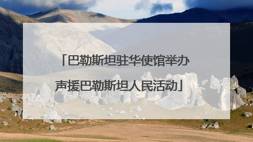 巴勒斯坦驻华使馆举办声援巴勒斯坦人民活动