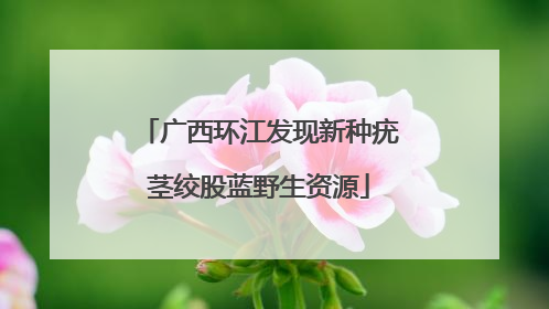 广西环江发现新种疣茎绞股蓝野生资源
