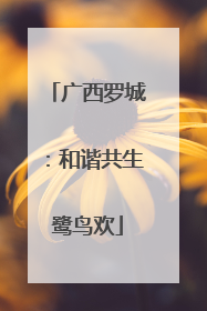 广西罗城：和谐共生鹭鸟欢