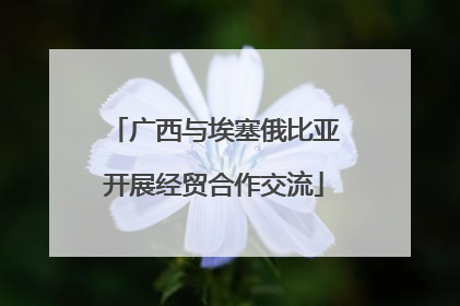 广西与埃塞俄比亚开展经贸合作交流