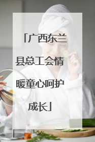 广西东兰县总工会情暖童心呵护成长