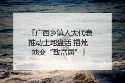 广西乡镇人大代表推动土地盘活 撂荒地变“致富园”