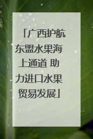 广西护航东盟水果海上通道 助力进口水果贸易发展