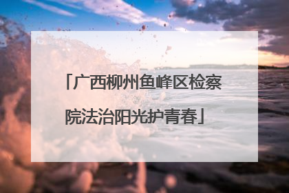 广西柳州鱼峰区检察院法治阳光护青春