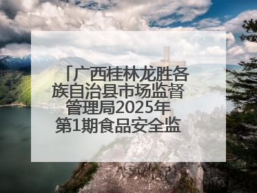 广西桂林龙胜各族自治县市场监督管理局2025年第1期食品安全监督抽检信息公告