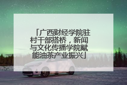 广西财经学院驻村干部搭桥，新闻与文化传播学院赋能油茶产业振兴