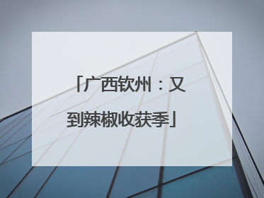 广西钦州：又到辣椒收获季