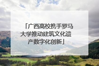 广西高校携手罗马大学推动建筑文化遗产数字化创新