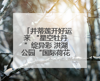 并蒂莲开好运来 “星空牡丹”绽异彩 洪湖公园“国际荷花派对”三天迎客六万