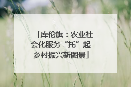 库伦旗：农业社会化服务“托”起乡村振兴新图景