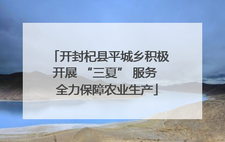 开封杞县平城乡积极开展 “三夏” 服务 全力保障农业生产