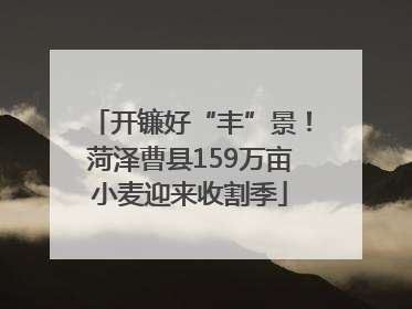 开镰好“丰”景！菏泽曹县159万亩小麦迎来收割季