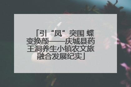 引“凤”突围 蝶变换颜——庆城县药王洞养生小镇农文旅融合发展纪实