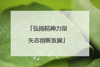 弘扬精神力量 矢志创新发展