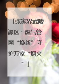 张家界武陵源区：燃气管网“焕新”守护万家“烟火”