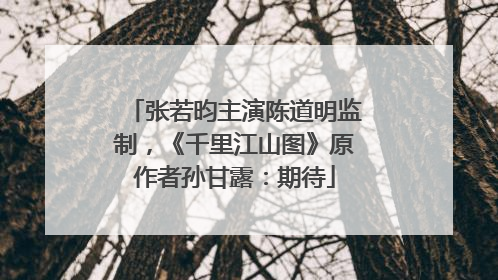 张若昀主演陈道明监制，《千里江山图》原作者孙甘露：期待
