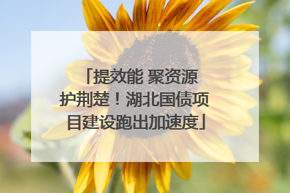 提效能 聚资源 护荆楚！湖北国债项目建设跑出加速度