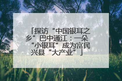 探访“中国银耳之乡”巴中通江：一朵“小银耳”成为富民兴县“大产业”