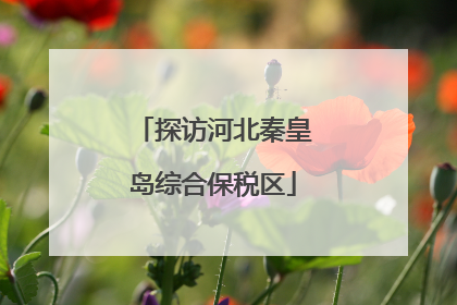 探访河北秦皇岛综合保税区