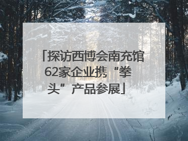 探访西博会南充馆 62家企业携“拳头”产品参展