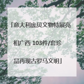 意大利庞贝文物特展亮相广西 103件/套珍品再现古罗马文明