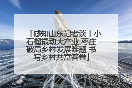 感知山东记者谈丨小石榴撬动大产业 枣庄破局乡村发展难题 书写乡村共富答卷