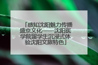 感知沈阳魅力传播盛京文化——沈阳医学院留学生沉浸式体验沈阳文旅特色