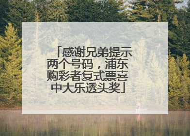 感谢兄弟提示两个号码，浦东购彩者复式票喜中大乐透头奖