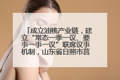 成立油桃产业链，建立“常态一季一议、要事一事一议”联席议事机制，山东省日照市莒县果庄镇——13个党小组“全周期”育果