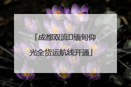 成都双流⇌缅甸仰光全货运航线开通
