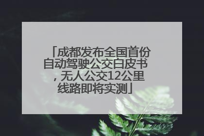 成都发布全国首份自动驾驶公交白皮书，无人公交12公里线路即将实测