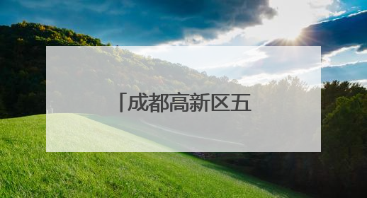 成都高新区五大外贸综合服务站授牌成立
