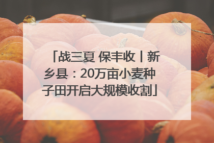 战三夏 保丰收丨新乡县：20万亩小麦种子田开启大规模收割