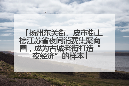 扬州东关街、皮市街上榜江苏省夜间消费集聚商圈，成为古城老街打造“夜经济”的样本