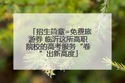 招生简章=免费旅游券 临沂这所高职院校的高考服务“卷”出新高度
