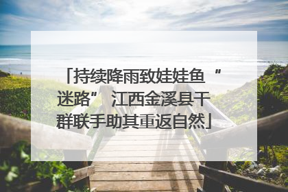持续降雨致娃娃鱼“迷路” 江西金溪县干群联手助其重返自然