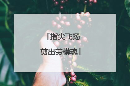 指尖飞扬 剪出劳模魂
