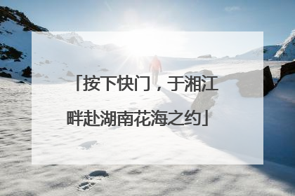 按下快门，于湘江畔赴湖南花海之约